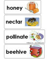 bee word wall