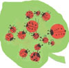 bug artwork