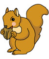 squirrel activities
