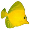 ocean animals craft and activities
