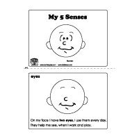 My Five Senses Preschool Activities, Lessons, and Printables | KidsSoup
