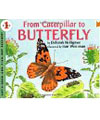 Butterflies Crafts preschool and kindergarten activities