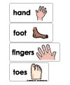 Hands and Feet preschool and kindergarten activities