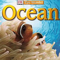 Eye of the ocean - science book for children