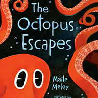 Octopus Escapes - picture book for children