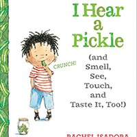 Five senses picture book for preschool and kindergarten