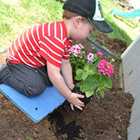 Planting Flowers outdoor science activity for preschool and kindergarten