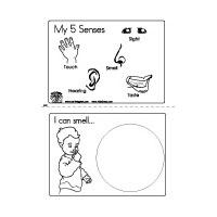 My Five Senses Booklet and five senses lesson plan and activities