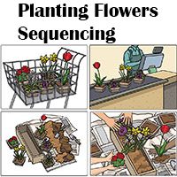 Planting Flowers sequencing activity and printables for preschool and kindergarten