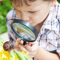 Sense of Sight preschool lesson plan and activities