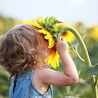 Sense of Smell preschool lesson plan and activities