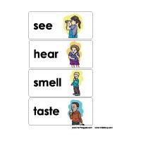 5 Senses Word Wall preschool activity