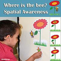 Where is the bee? Spatial Awareness activity