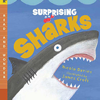 Surprising sharks picture book for children