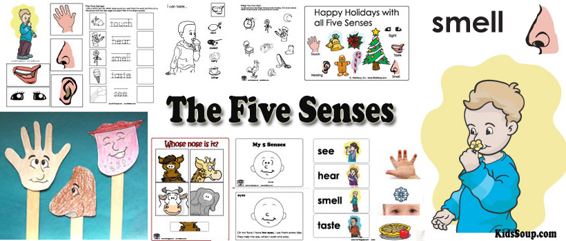 My Five Senses Preschool Activities Lessons And Printables KidsSoup