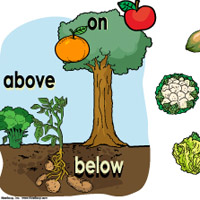 Fruits and Vegetables Preschool Activities, Lessons, and Games | KidsSoup