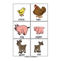 farm animals pictures for preschool
