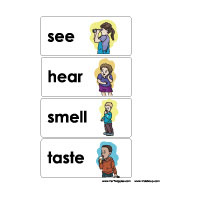 My Five Senses Preschool Activities, Lessons, and Printables | KidsSoup